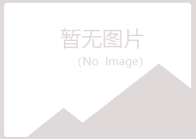 岢岚县字迹教育有限公司